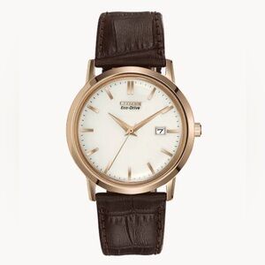 NWOT Citizen Eco-Drive Corso Watch - DISCONTINUED